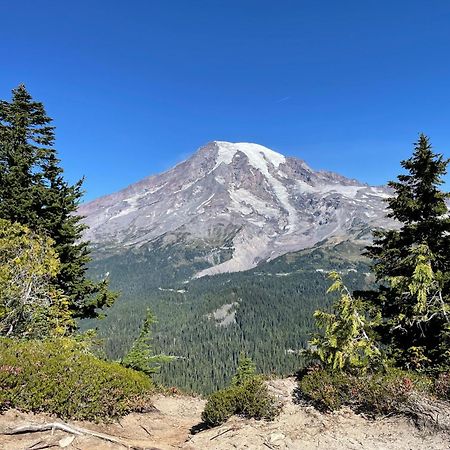 New Modern Cabin! 5Mi To Mt Rainier National Park! Hot Tub & Wifi Ашфорд Екстер'єр фото