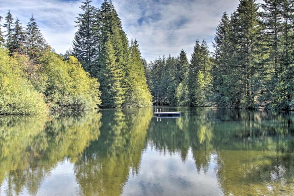 New Modern Cabin! 5Mi To Mt Rainier National Park! Hot Tub & Wifi Ашфорд Екстер'єр фото