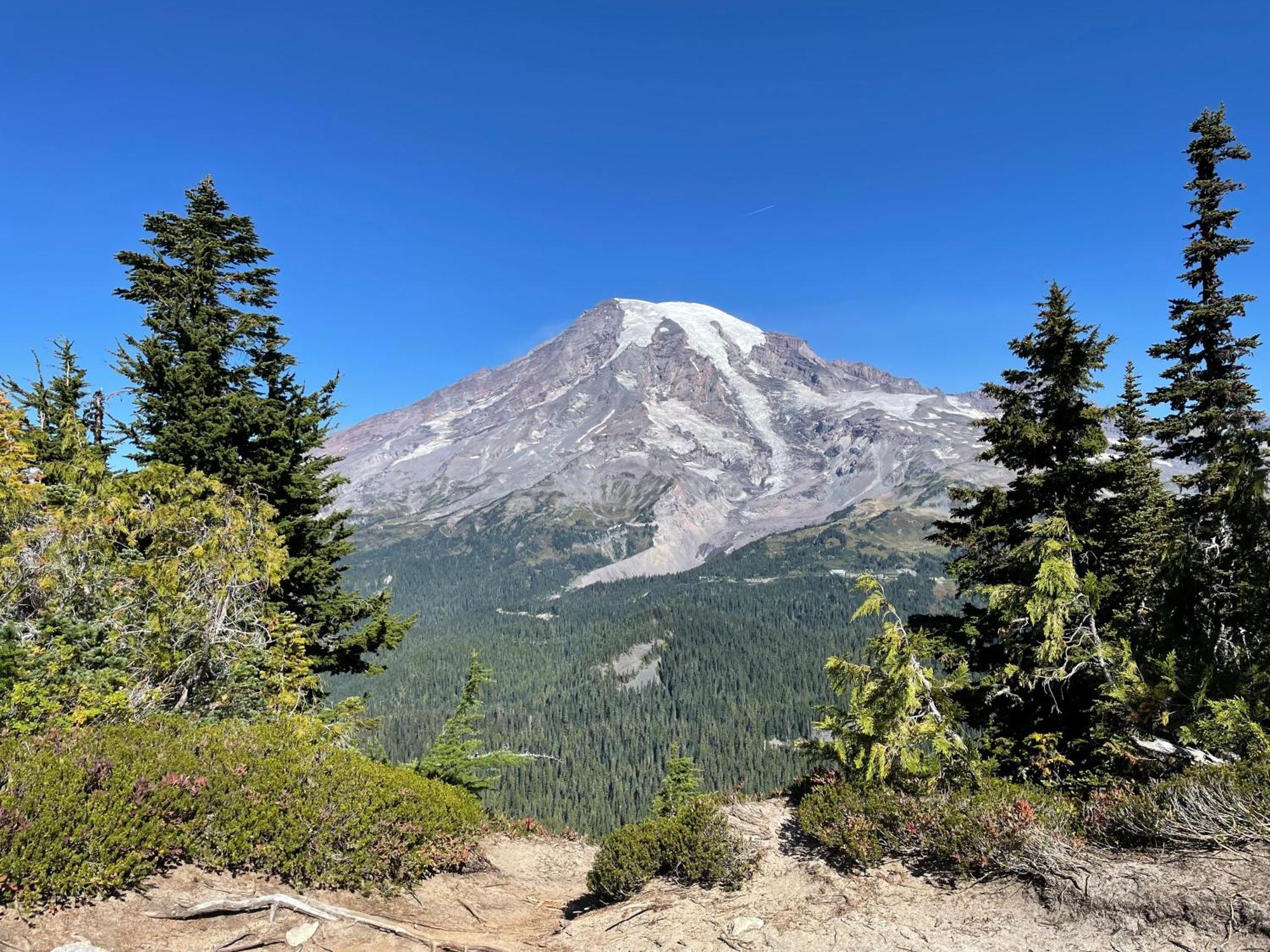 New Modern Cabin! 5Mi To Mt Rainier National Park! Hot Tub & Wifi Ашфорд Екстер'єр фото