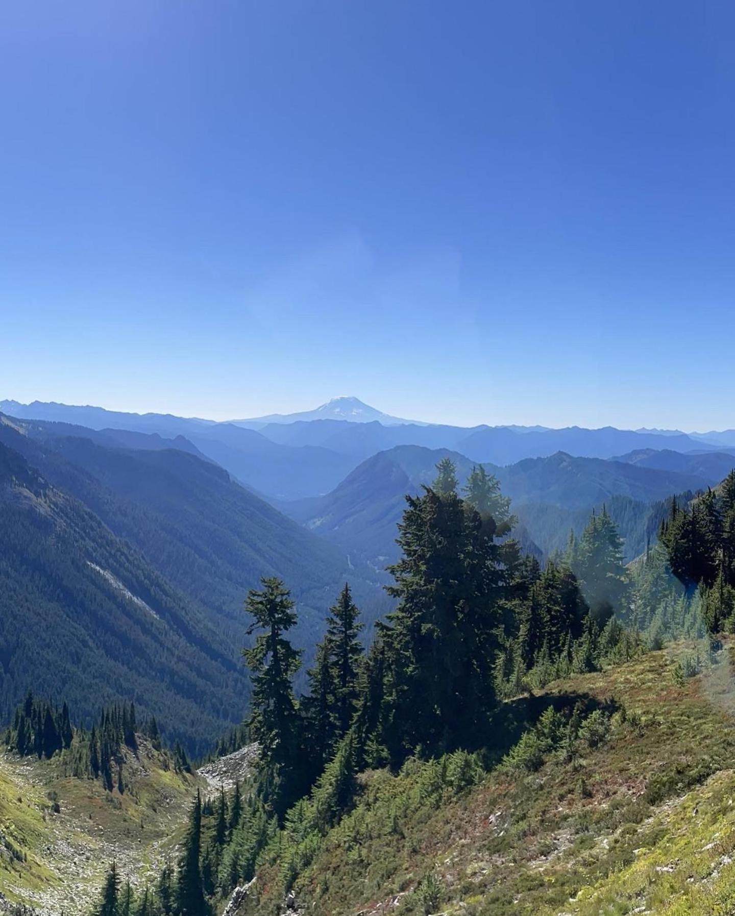 New Modern Cabin! 5Mi To Mt Rainier National Park! Hot Tub & Wifi Ашфорд Екстер'єр фото